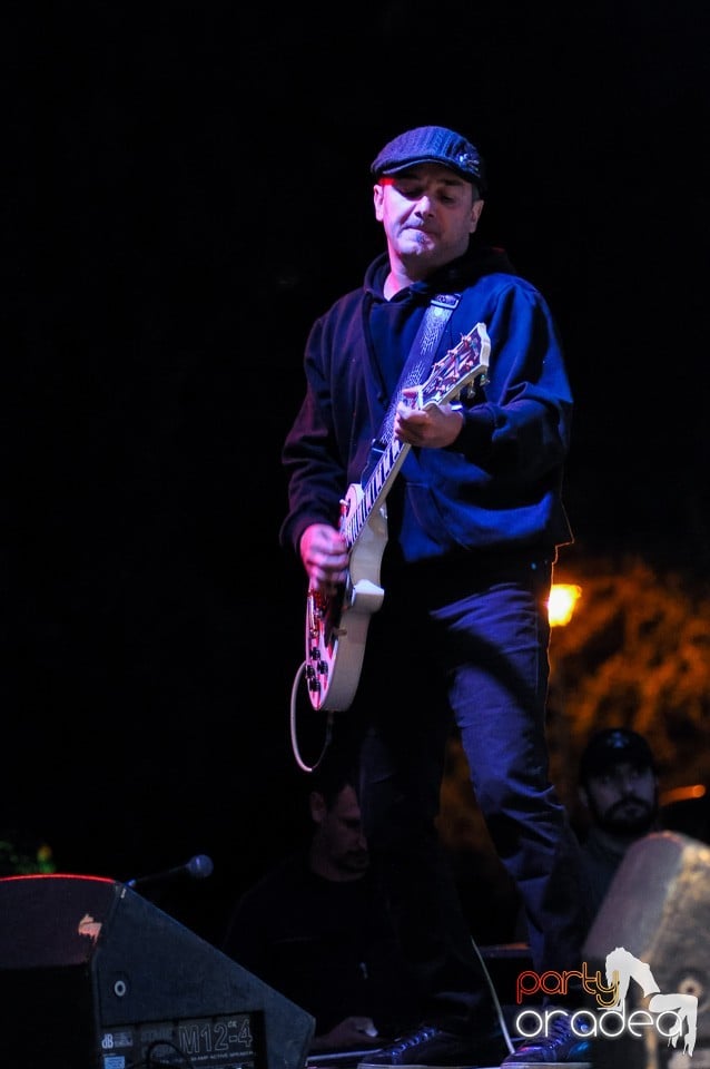 Concert Direcţia 5, 