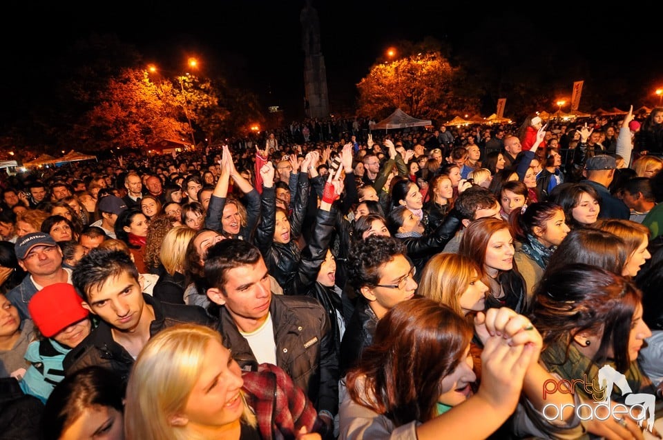 Concert Direcţia 5,