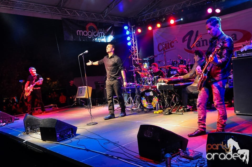 Concert Direcţia 5,