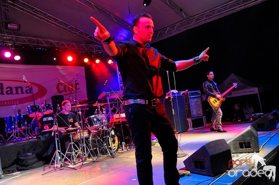 Concert Direcţia 5, 