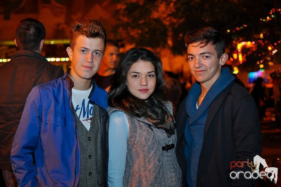 Concert Direcţia 5, 