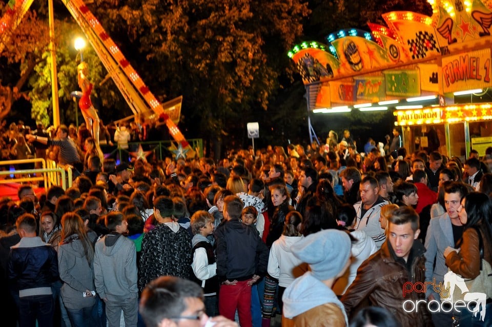 Concert Direcţia 5, 