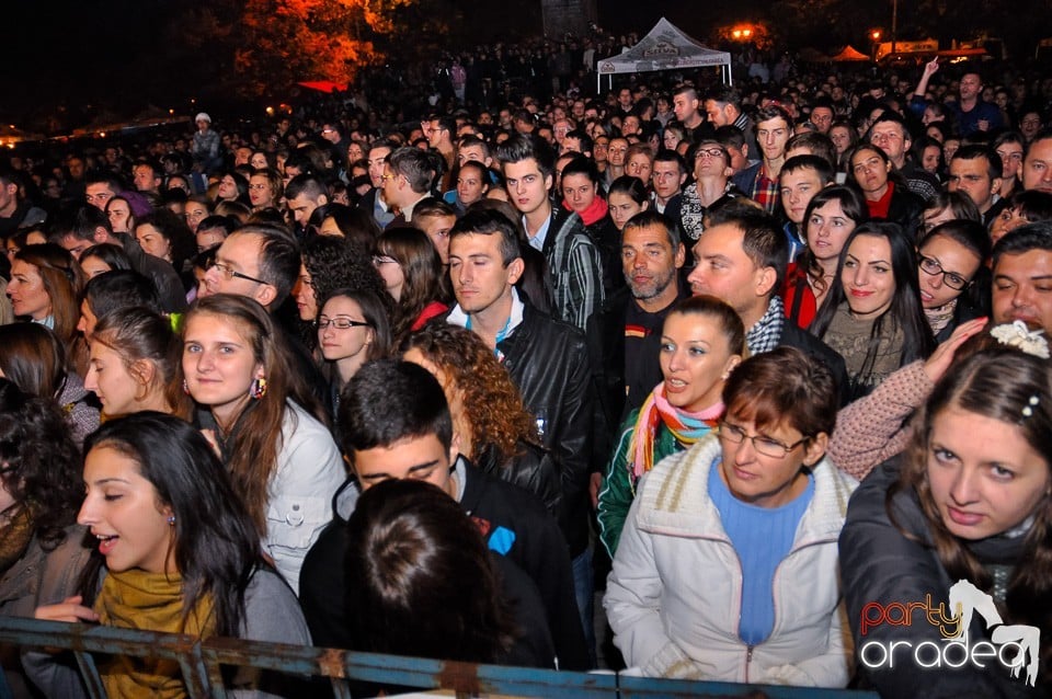 Concert Direcţia 5, 