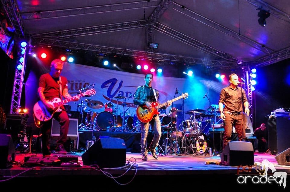 Concert Direcţia 5, 
