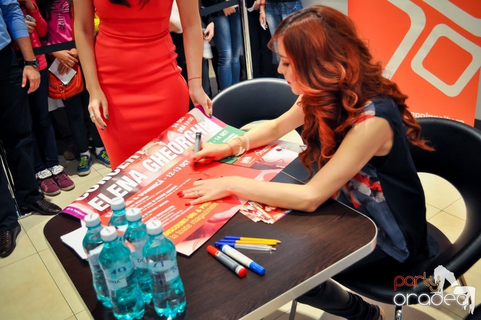 Concert Elena Gheorghe, 