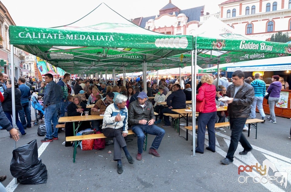 Concert EMStreet la Toamna Oradeana, Oradea