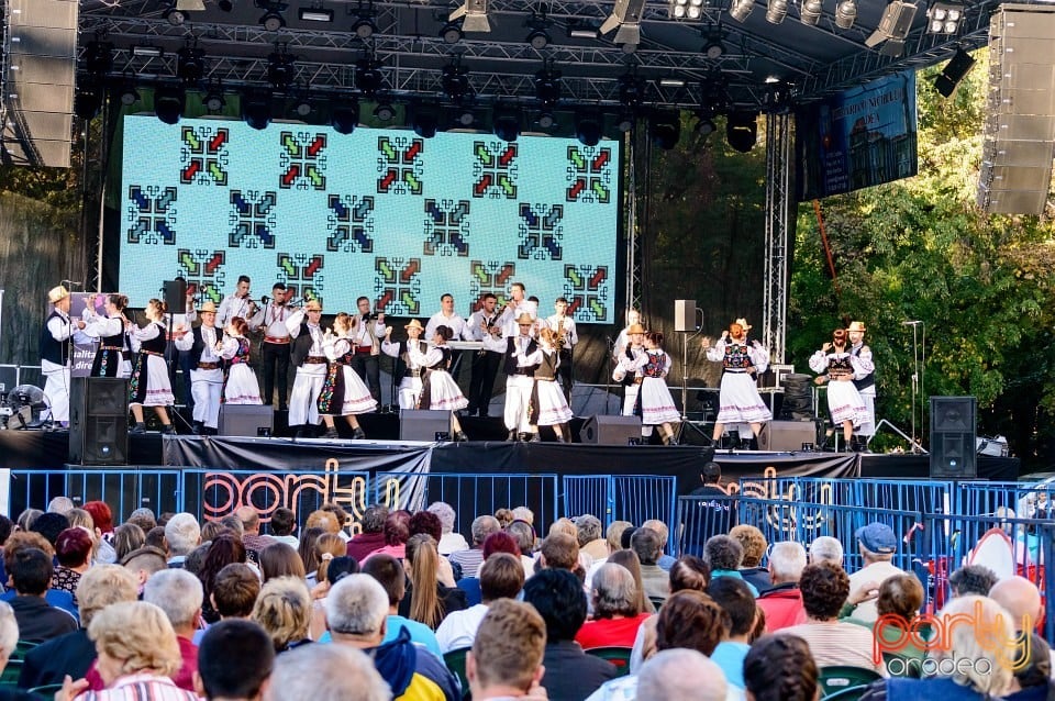 Concert Florile Bihorului, Oradea