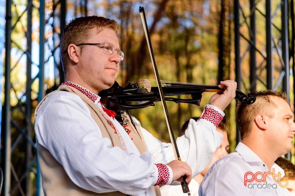 Concert Florile Bihorului, Oradea