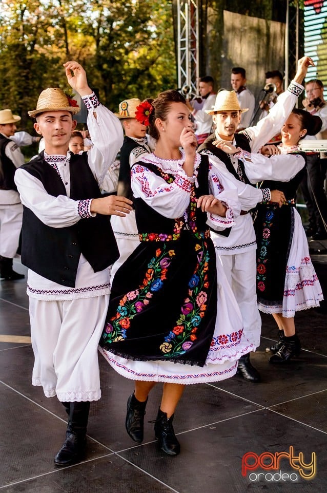 Concert Florile Bihorului, Oradea
