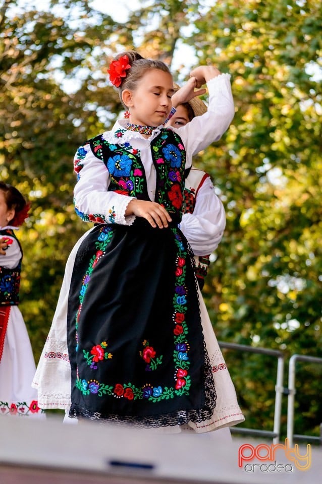 Concert Florile Bihorului, Oradea