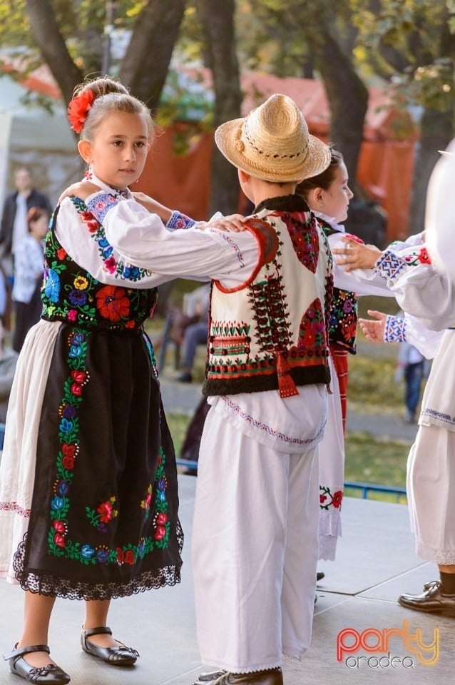 Concert Florile Bihorului, Oradea