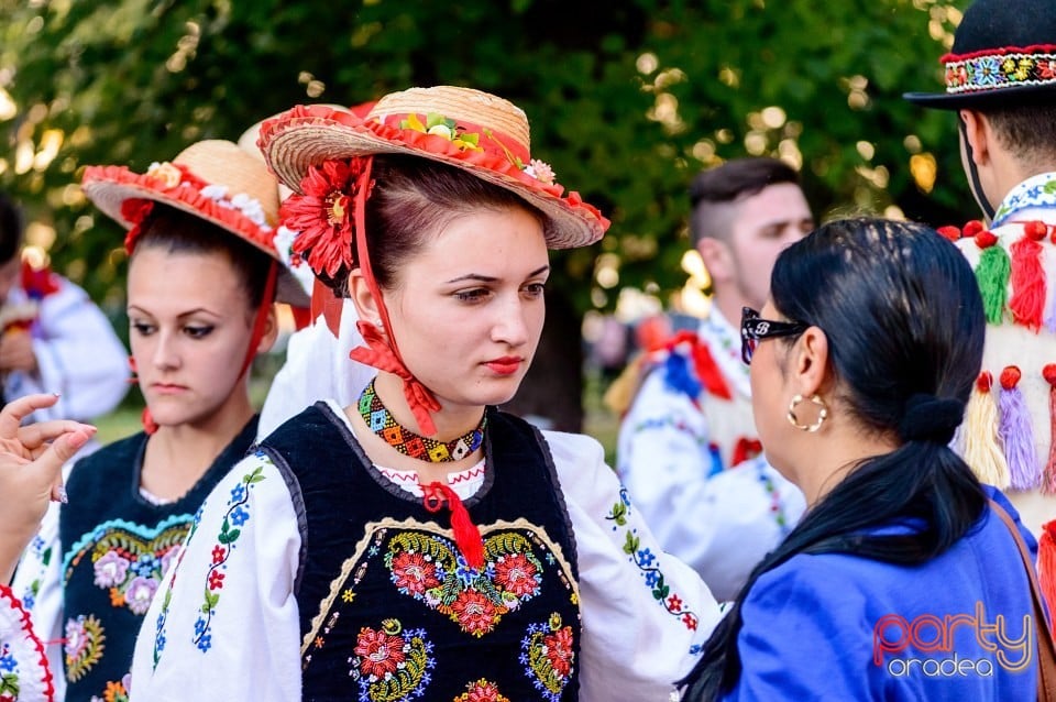 Concert Florile Bihorului, Oradea
