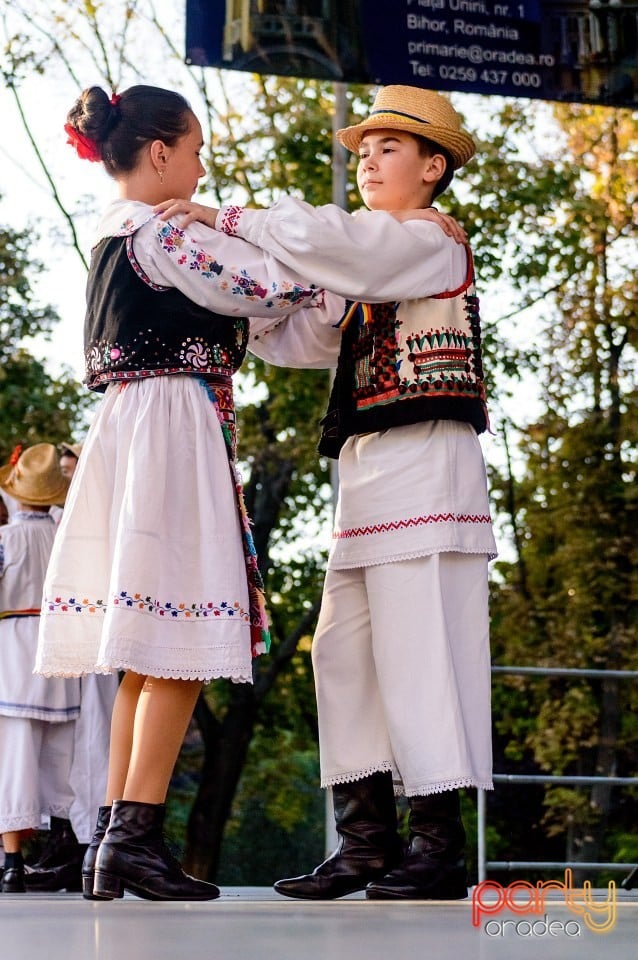 Concert Florile Bihorului, Oradea