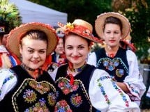 Concert Florile Bihorului
