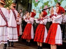 Concert Florile Bihorului