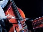Concert Gheorghe Zamfir
