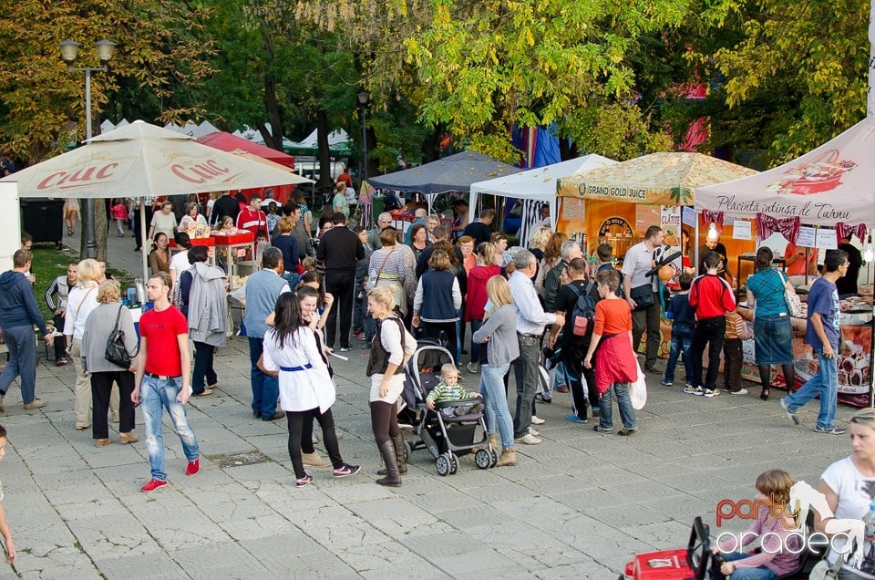 Concert Grup Viere si Anysound, Oradea