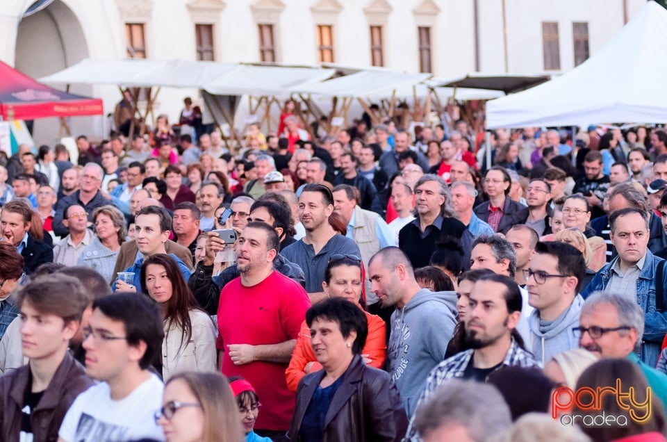 Concert Hobo, Oradea