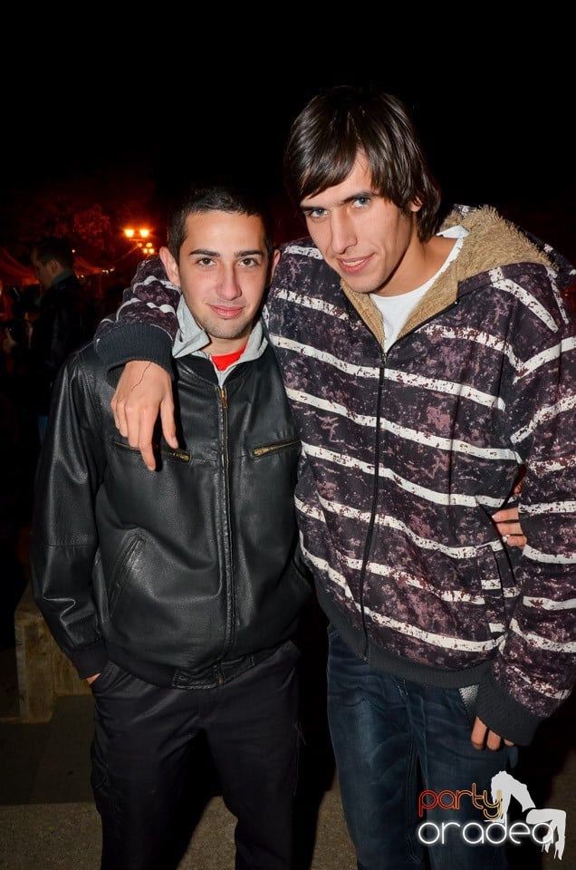 Concert Les Elephants Bizarres,
