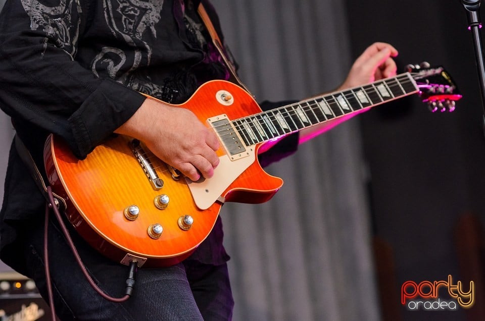 Concert Marius Dobra Band, 