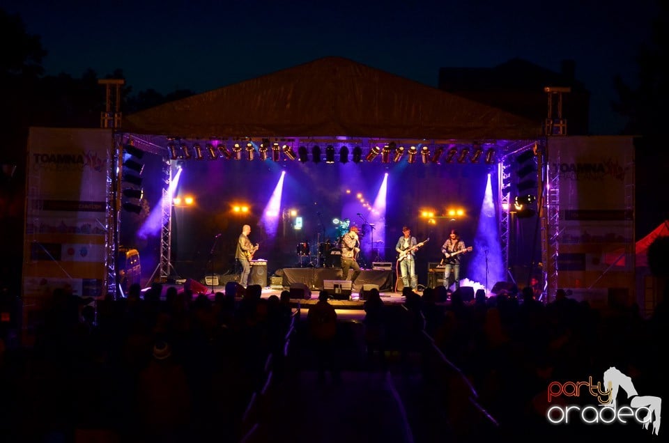 Concert Polter Guys,