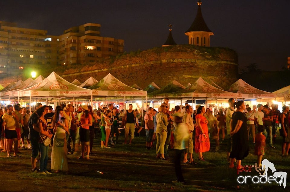 Concert Sarmalele Reci la Festivalul Berii, Cetatea Oradea