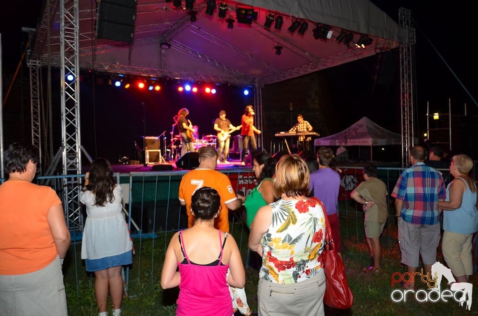 Concert Sarmalele Reci la Festivalul  Berii, Cetatea Oradea