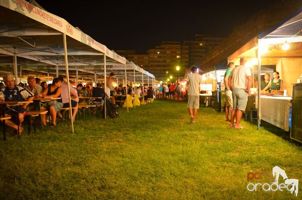 Concert Sarmalele Reci la Festivalul  Berii, Cetatea Oradea