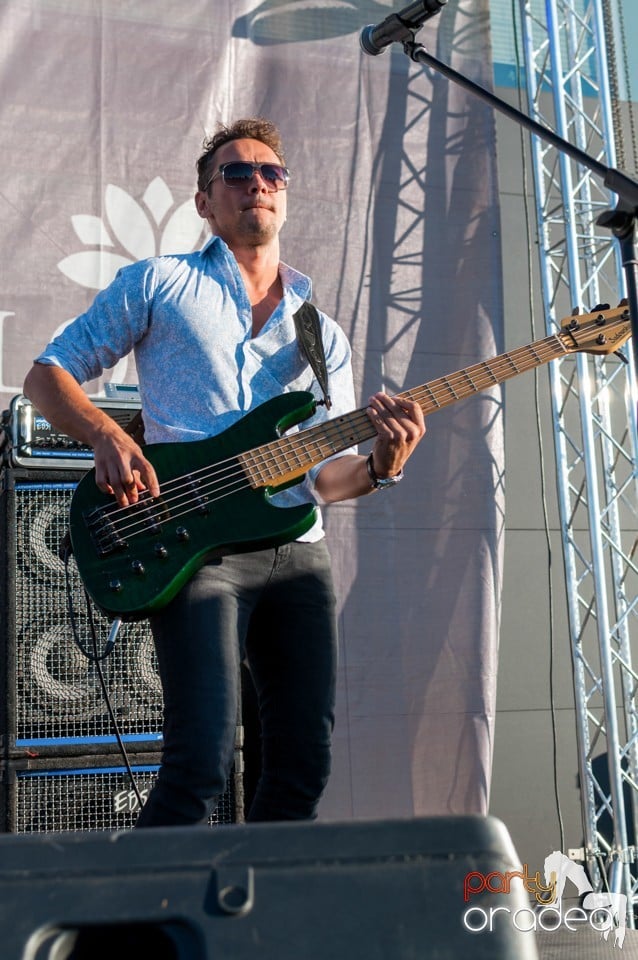 Concert Vama,