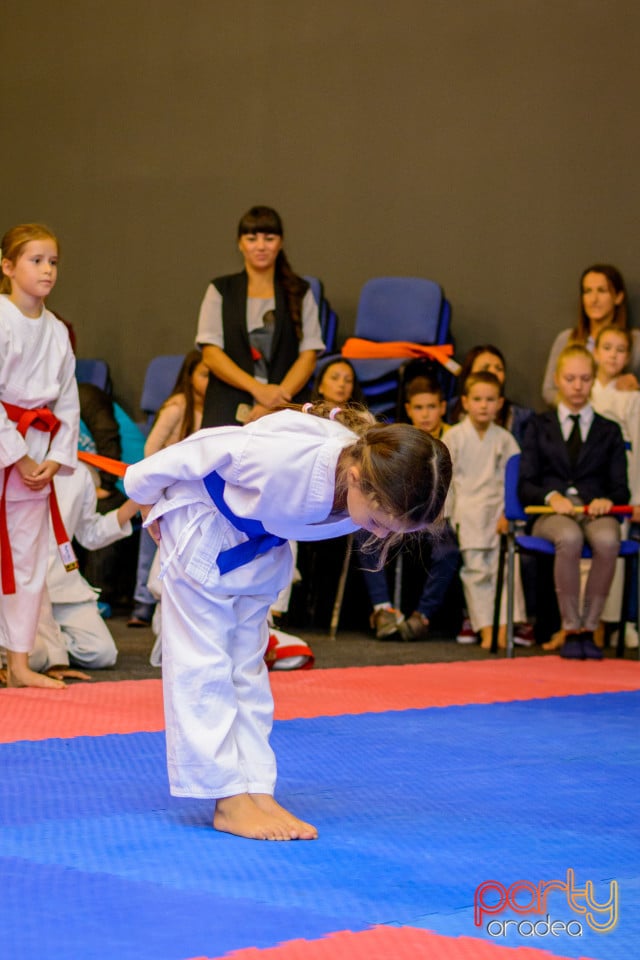 Concurs de Karate, Era Shopping Park