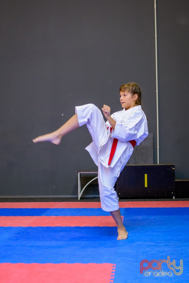 Concurs de Karate, Era Shopping Park