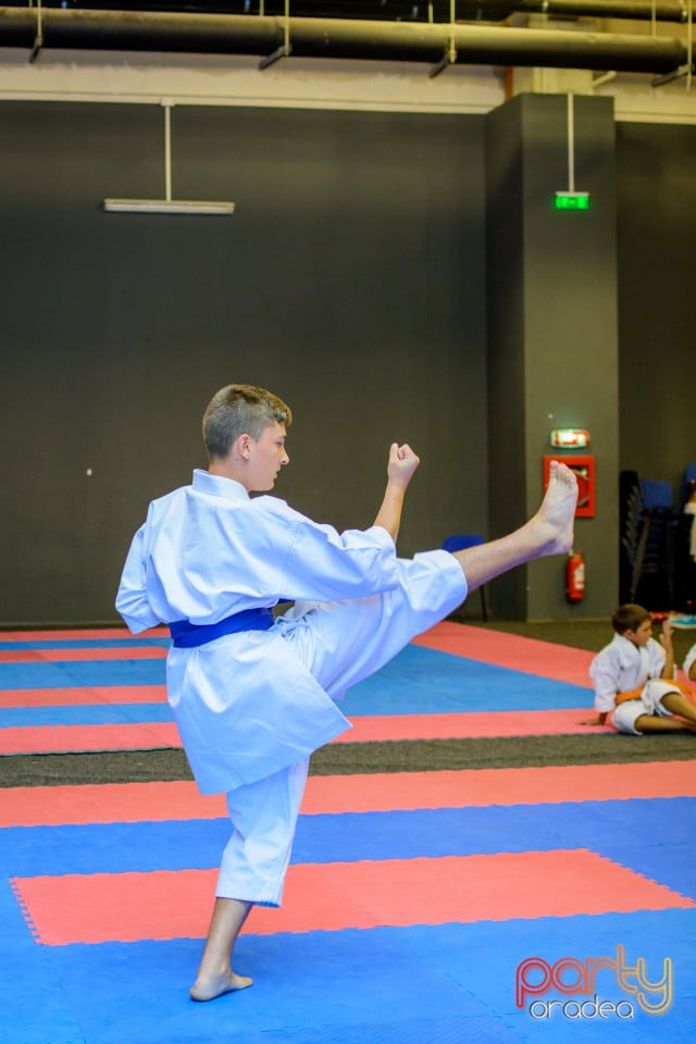 Concurs de Karate, Era Shopping Park