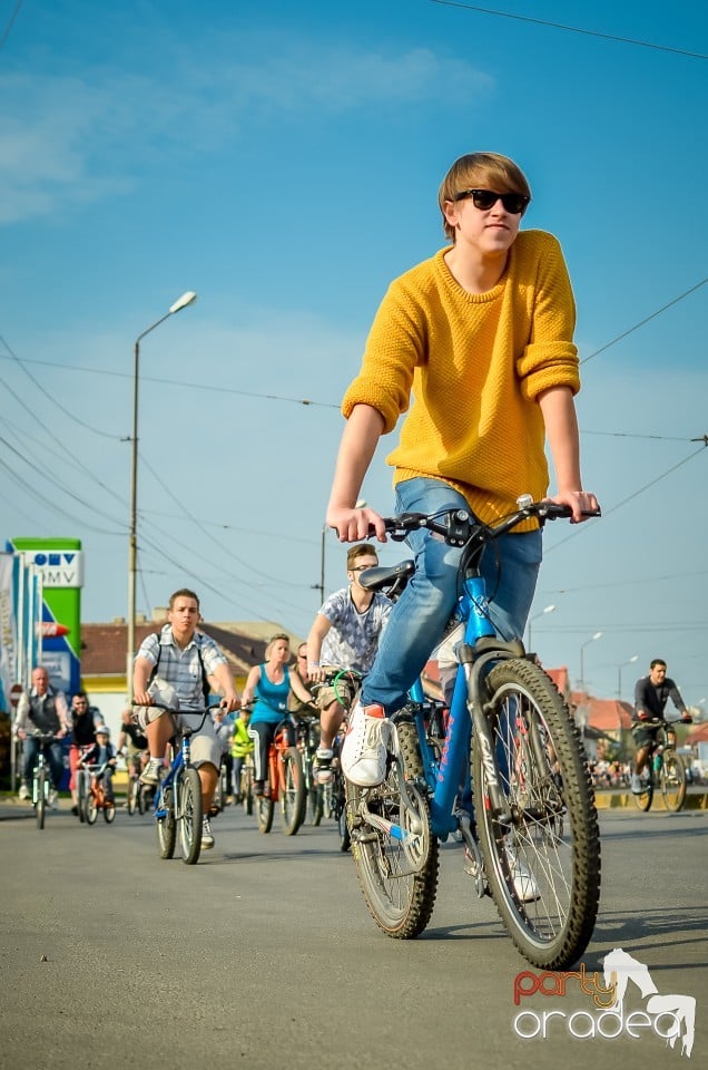 Critical Mass, 