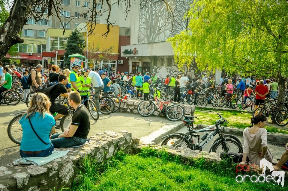 Critical Mass, 