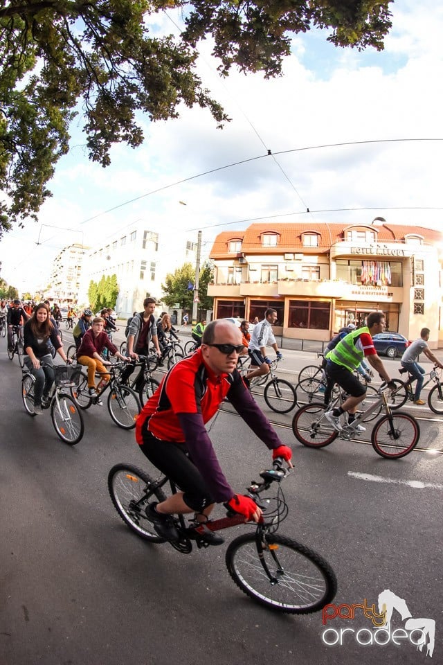 Critical Mass, Oradea