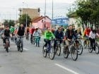 Critical Mass