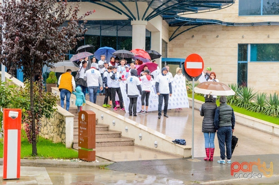 Crosul Companiilor, Oradea