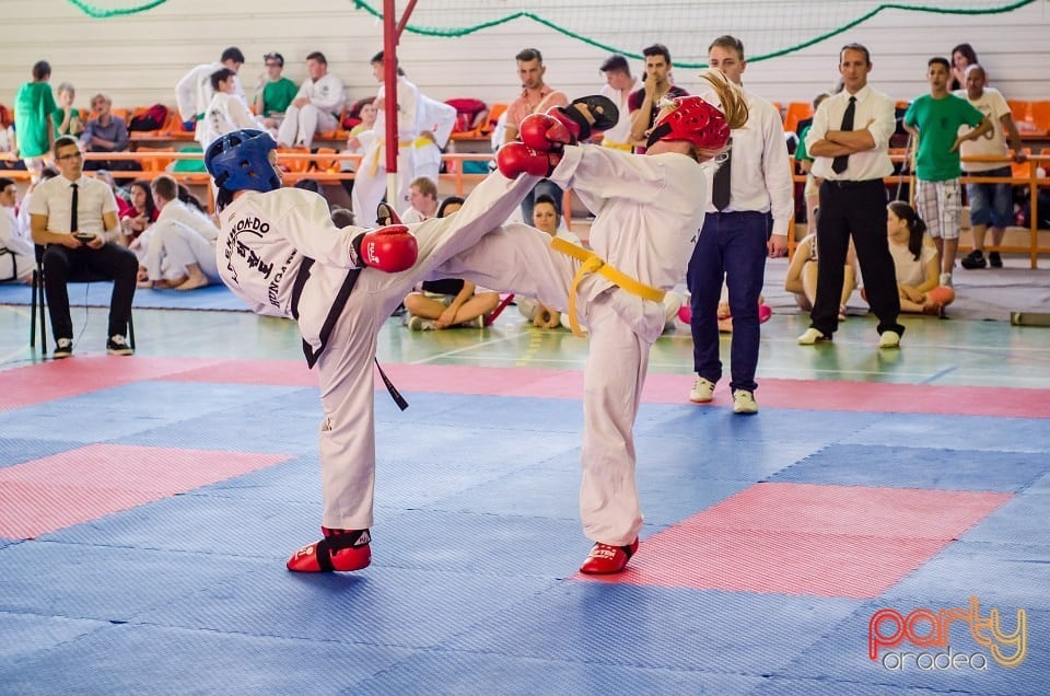 Cupa Internaţională de Taekwon-Do, Universitatea din Oradea