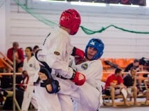 Cupa Internaţională de Taekwon-Do