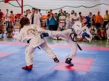 Cupa Internaţională de Taekwon-Do