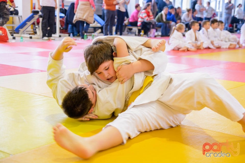 Demonstratia micilor Judoka, Liceul cu Program Sportiv