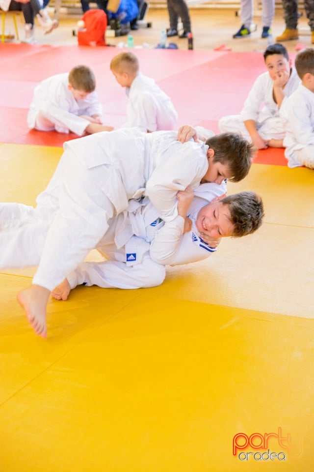 Demonstratia micilor Judoka, Liceul cu Program Sportiv