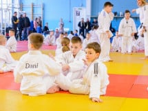 Demonstratia micilor Judoka