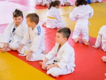 Demonstratia micilor Judoka