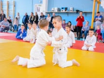 Demonstratia micilor Judoka
