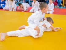 Demonstratia micilor Judoka