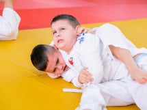 Demonstratia micilor Judoka