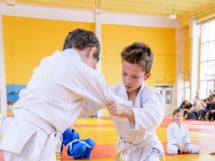 Demonstratia micilor Judoka