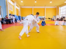 Demonstratia micilor Judoka
