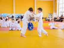 Demonstratia micilor Judoka